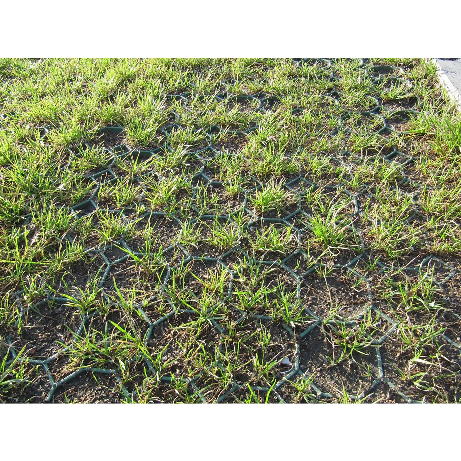 BERA® Grass Fix Eco+ - Grass Parking Pavers and Driveway Grids